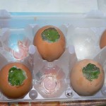 Яйца «Фаберже»|Дети в городе