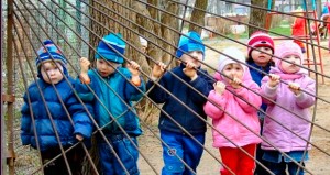 Главы муниципалитетов отчитаются перед Дубровским за очереди в детские сады|Дети в городе